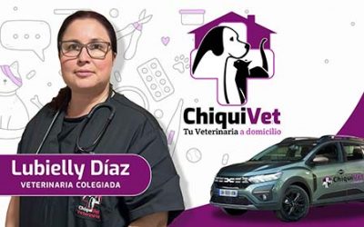 ChiquiVet.com Servicio veterinario a domicilio